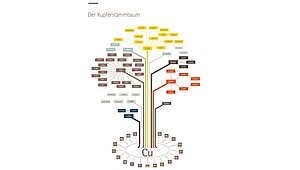 Kupferstammbaum