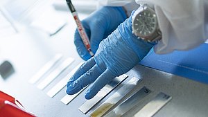 Arbeitssituation eines European Adhesive Engineer