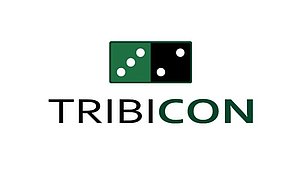 Tribicon Webinar CSRD