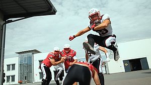 White Hawks Plantag Coatings