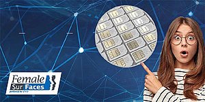 Die Female SurFaces des ZVO