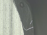 Lichtmikroskopische Aufnahme