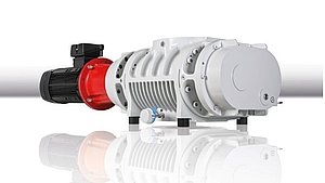 Wälzkolbenpumpen Okta ATEX von Pfeiffer Vacuum