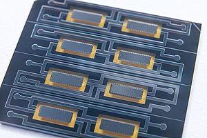 Solche Bolometer-Chips messen die aus dem Fusionsplasma abgestrahlte Leistung in Fusionsreaktoren.