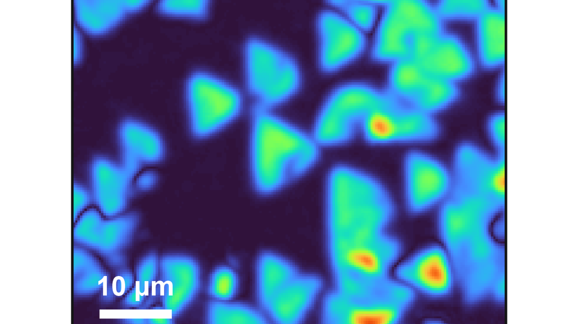 Sum frequency microscope image of a monolayer of boron nitride.