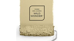 Farbe des Jahres Sikkens