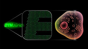 Dieses Logo der ETH Zürich besteht aus 2800 Nano-Leuchtdioden und ist mit einer Höhe von 20 μm ähnlich groß wie eine menschliche Zelle. 