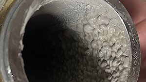Rohrleitung mit Biofilm